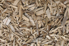biomass boilers Star